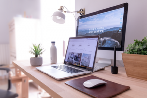 Website Management Website Management