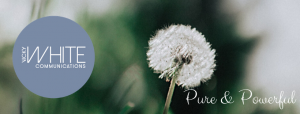 Website Banner Canva