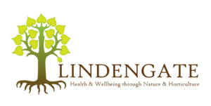 Lindengate Lindengate