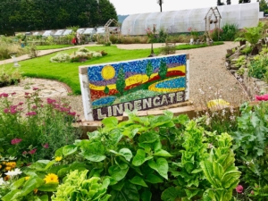 lindengate